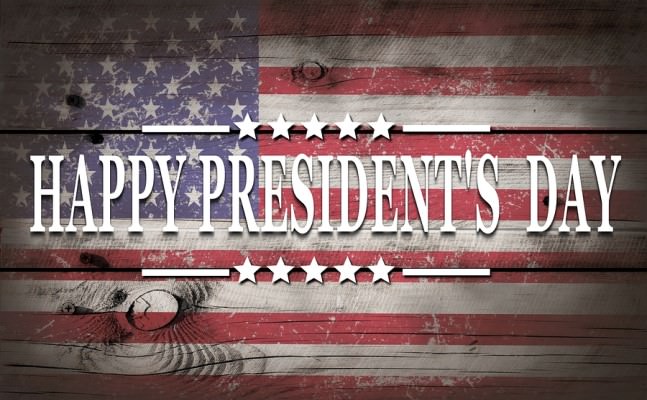 president day sale domesticroids